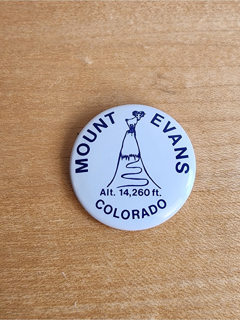 Vintage Mount Evans Colorado Souvenir Pinback Button 14,260 FT 1 1/8"